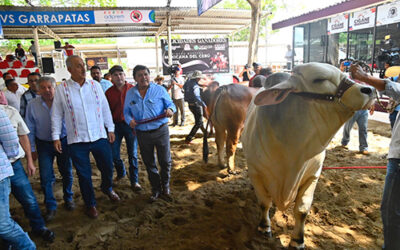 Inaugura Carlos Merino 1ª. Muestra Mexicana del Cebú; atestigua convenio entre UJAT y productores